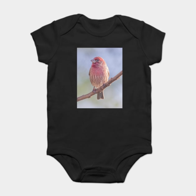 House Finch on blue/green blurred background Baby Bodysuit by BirdsnStuff